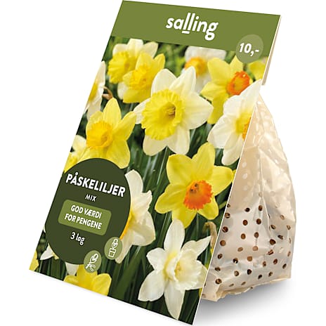 Salling Blomsterløg Påskeliljer Mix 3 Løg