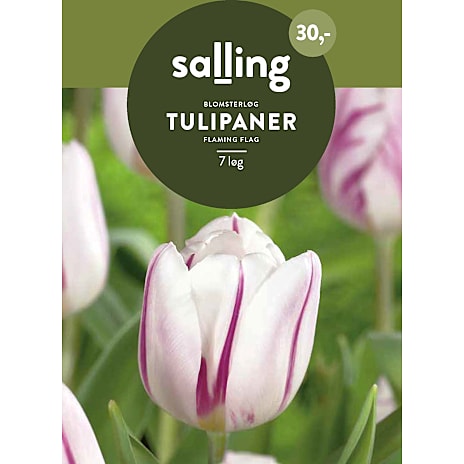 Salling Tulipaner Flaming Flag