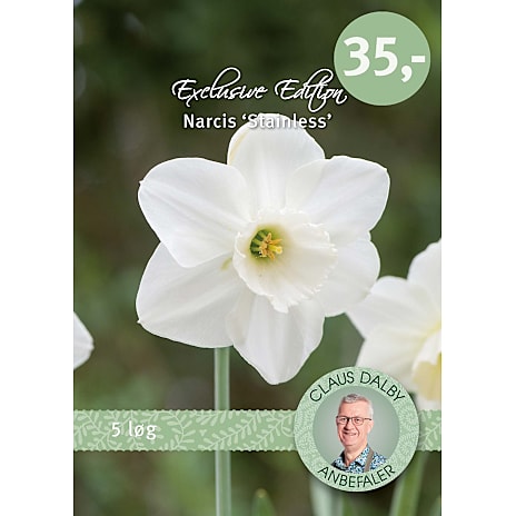 Claus Dalby Narcis Stainless