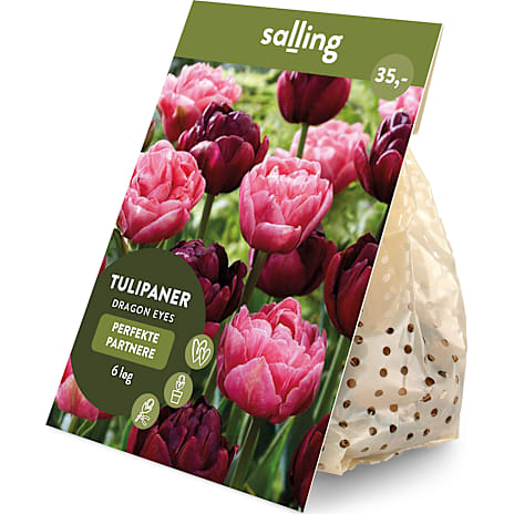 Salling Blomsterløg Tulipaner Dragon Eyes 6 løg