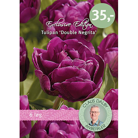 Claus Dalby Tulipaner Double Negrita