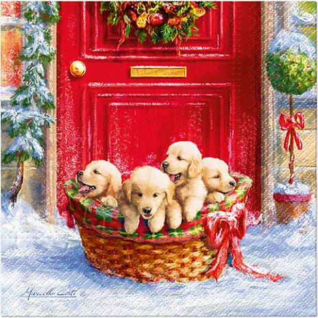 Mønstrede juleservietter 33x33 cm