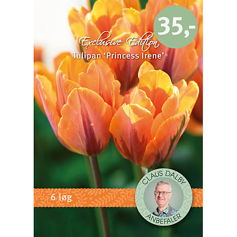 Claus Dalby Tulipaner Princess Irene