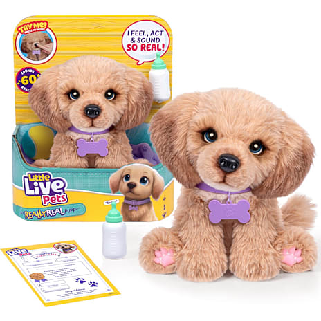 Moose Toys Little Live Pets My Really Real Daxie Puppy legetøjsdyr