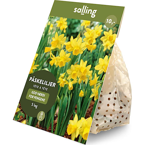 Salling Blomsterløg Påskeliljer Tete a Tete 5 løg
