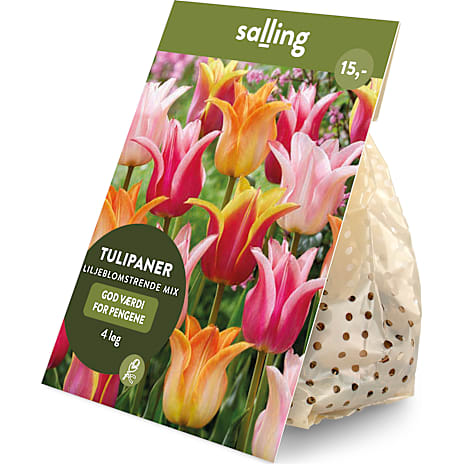 Salling Blomsterløg Tulipaner Liljeblomstrende Mix 4 løg