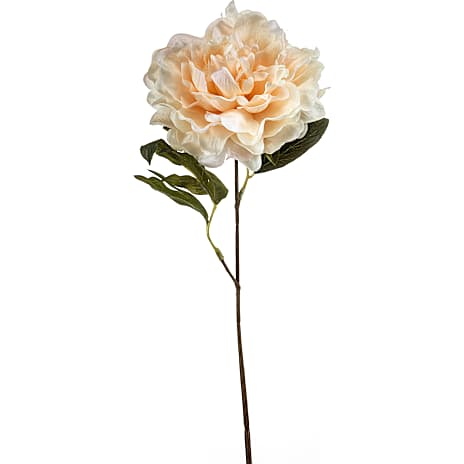 Kunstig Blomst Peony Beige