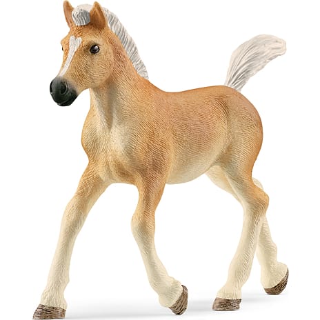 Schleich Haflinger-føl 13951