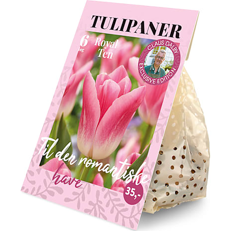 Claus Dalby Tulipaner Royal Ten 6 løg