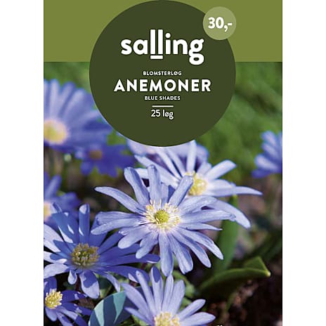 Salling Anemoner Blue Shades