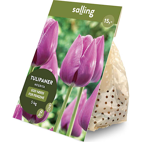 Salling Blomsterløg Tulipaner Negrita 5 løg