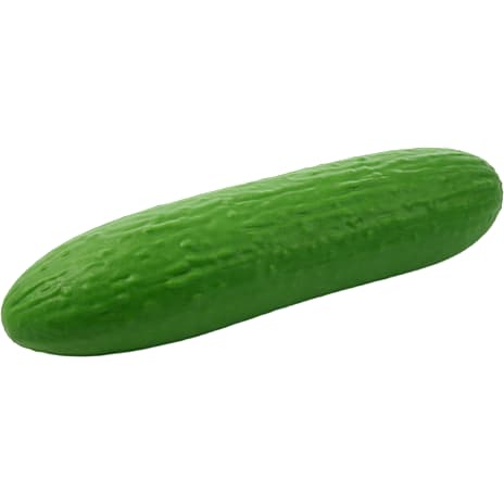 Scoop The Big Squij pickle squishy