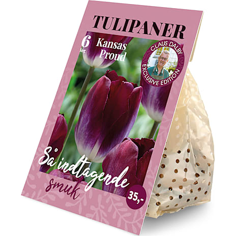 Claus Dalby Tulipaner Kansas Proud 6 løg