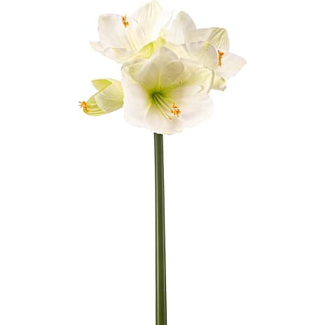 Andre mærker Kunstig blomst Amaryllis hvid/grøn
