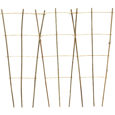 Andre Mærker Espalier bambus 3 stk. 1 stk.