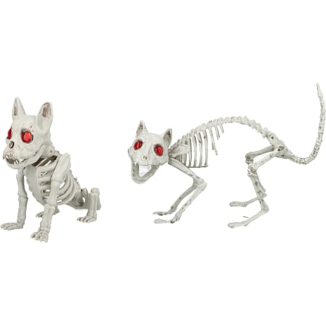 Halloween Dyreskelet Hund eller Kat