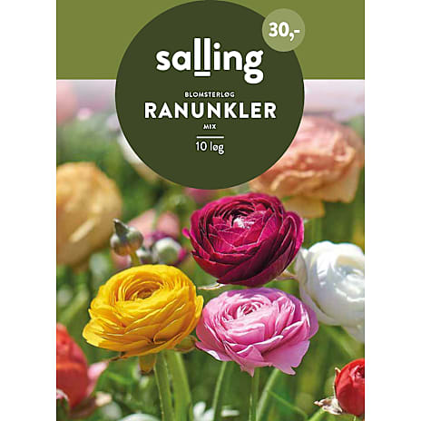 Salling Ranunkler Mix