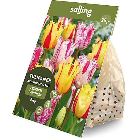 Salling Blomsterløg Tulipaner Artistic Grafitti 8 løg