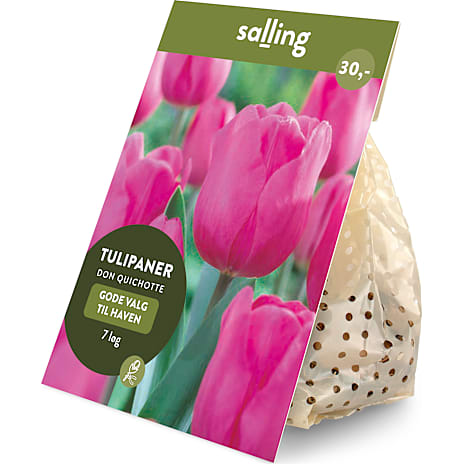 Salling Blomsterløg Tulipaner Don Quichotte 7 løg
