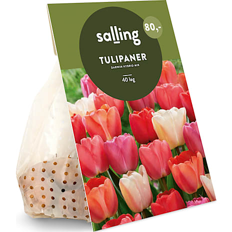 Salling Blomsterløg Tulipaner Darwin Hybrid Mix 40 Løg