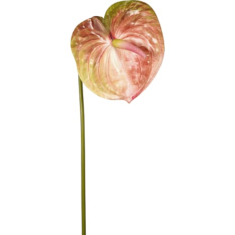 Andre mærker Kunstig blomst Anthurium grøn/pink