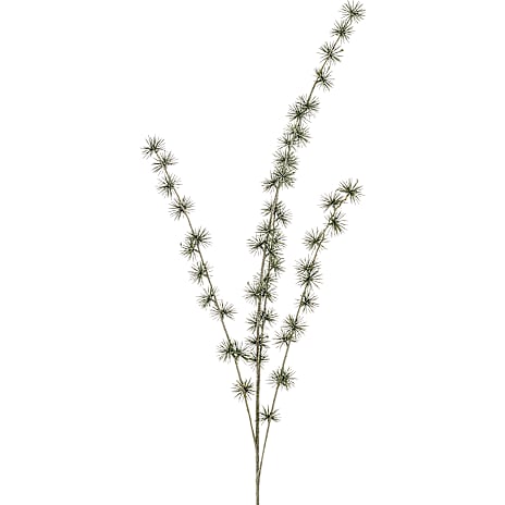Lærkegrene - 4 grene 1 stk.