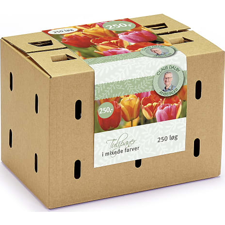 Claus Dalby Tulipaner Mix