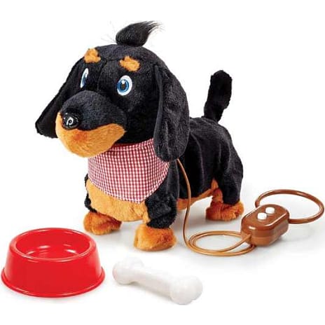 Happy Pets Walk Along Dachshund
