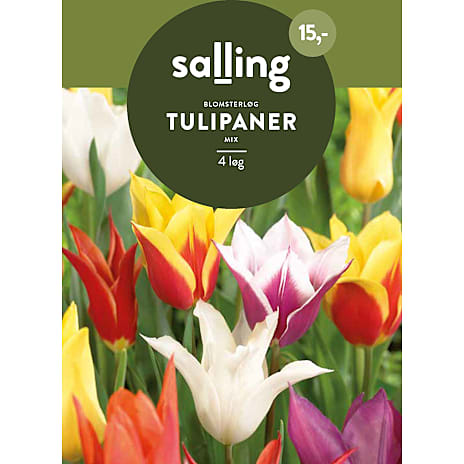 Salling Tulipaner Mix
