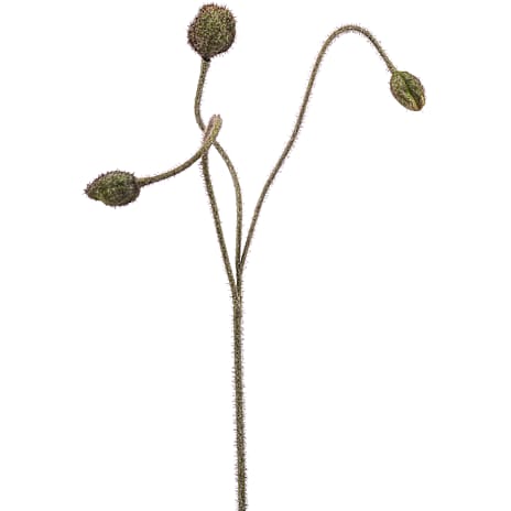 Andre mærker Kunstig blomst valmue i knop grøn