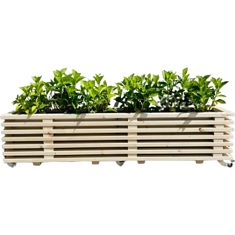 Kabeltromlen Luksus Plantekasse Af Nye Traller 177 cm
