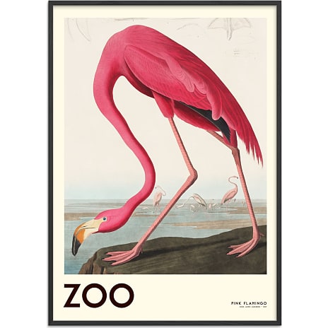 Citatplakat The Zoo Collection Flamingo - 50x70 cm 1 stk.