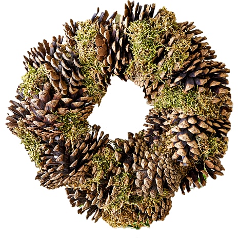 Krans Med Mos Og Kogler Natur