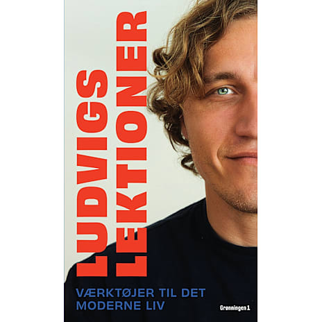 Grønningen 1 Ludvigs lektioner - Ludvig Larsen