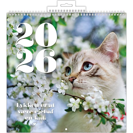1Conzept Billedkalender 2026 Kat
