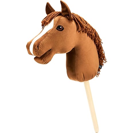My Hobby Horse Kæphest Caristo