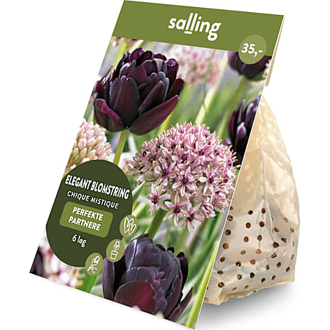 Salling Blomsterløg Tulipaner/Prydløg Chique Mystic 6 løg