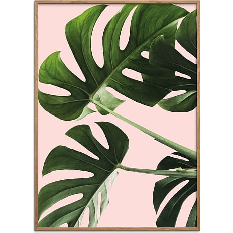 Citatplakat Monsteras in pink - 30x40 cm 1 stk.