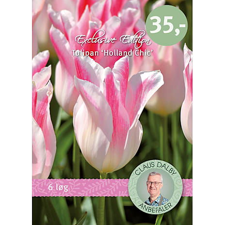 Claus Dalby Tulipaner Holland Chic