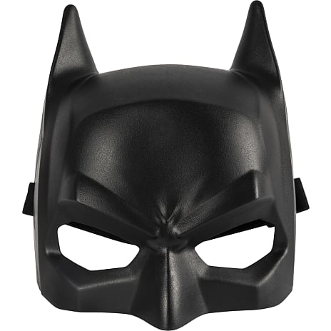 DC Universe Hero Maske Assorteret