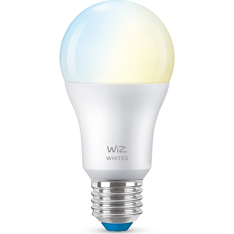 Wiz E27 Mat 60W
