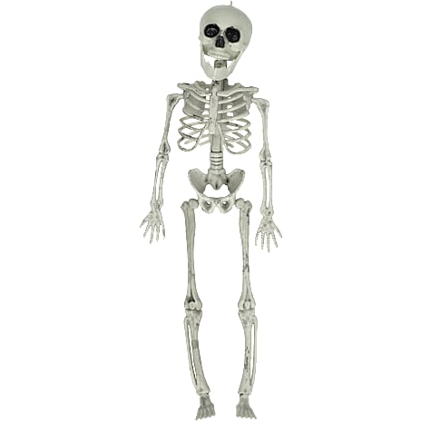 Halloween Skelet 40 cm Hvid