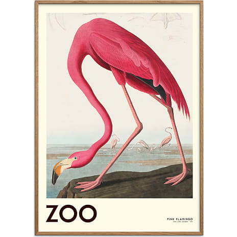 Citatplakat The Zoo Collection Flamingo - 70x100 cm 1 stk.