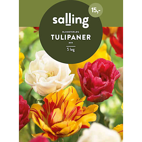 Salling Tulipaner Mix