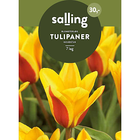 Salling Tulipaner Goudstuk