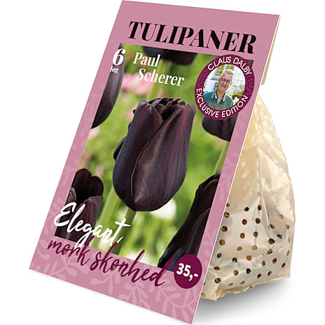 Claus Dalby Tulipaner Paul Scherer 6 løg