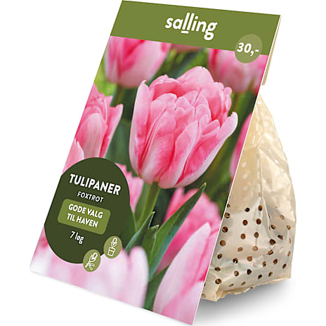 Salling Blomsterløg Tulipaner Foxtrot 7 Løg