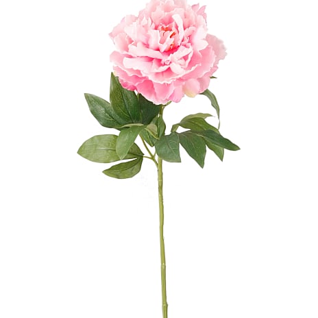 Andre mærker Kunstig blomsterstilk pioner pink