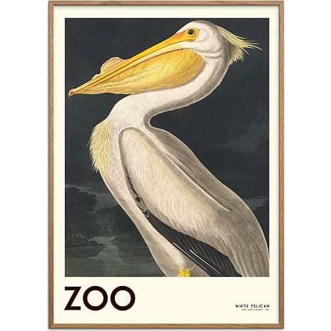 Citatplakat The Zoo Collection Pelican - 70x100 cm 1 stk.