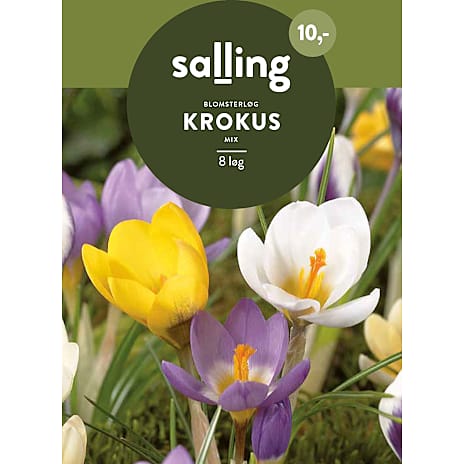 Salling Krokus mix